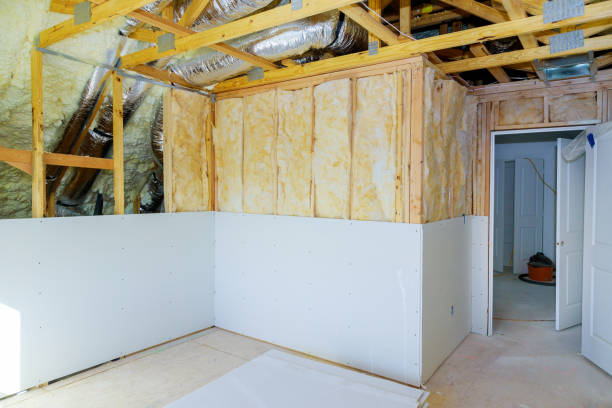 Best Radiant Barrier Insulation  in South Lyon, MI