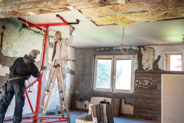 Best Basement Insulation  in South Lyon, MI